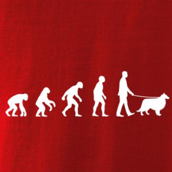 Evoluce pes Sheltie (muž-žena)