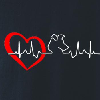 Border kolie EKG Border kolie EKG