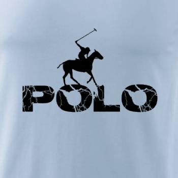 Polo blesk
