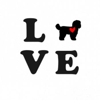 Shih Tzu love