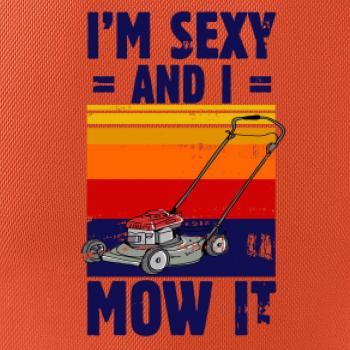 I'm sexy and i mow it