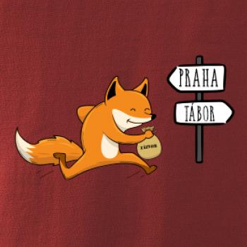 Běží liška k táboru