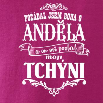 Požádal jsem boha o anděla a on mi poslal moji tchýni