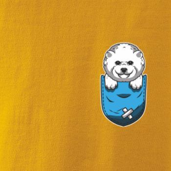 Bišonek v kapsičce