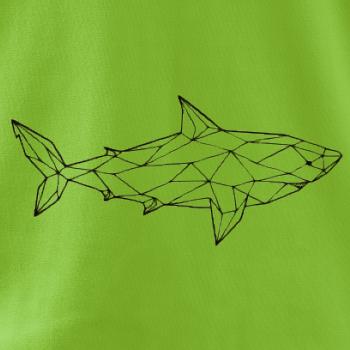 Geometrie - žralok tělo