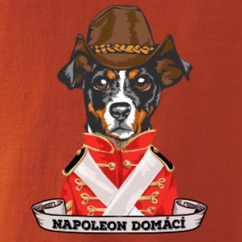 Napoleon domácí pes kříženec Napoleon domácí pes kříženec
