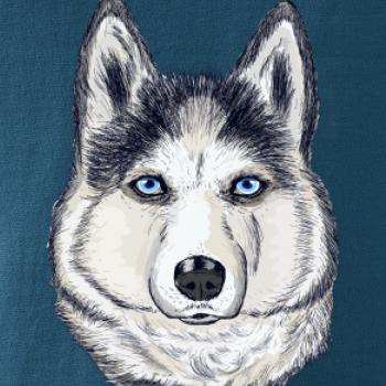 Husky hlava - kreslený