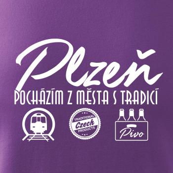 Plzeň město s tradicí