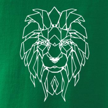 Geometrie - lev tvář