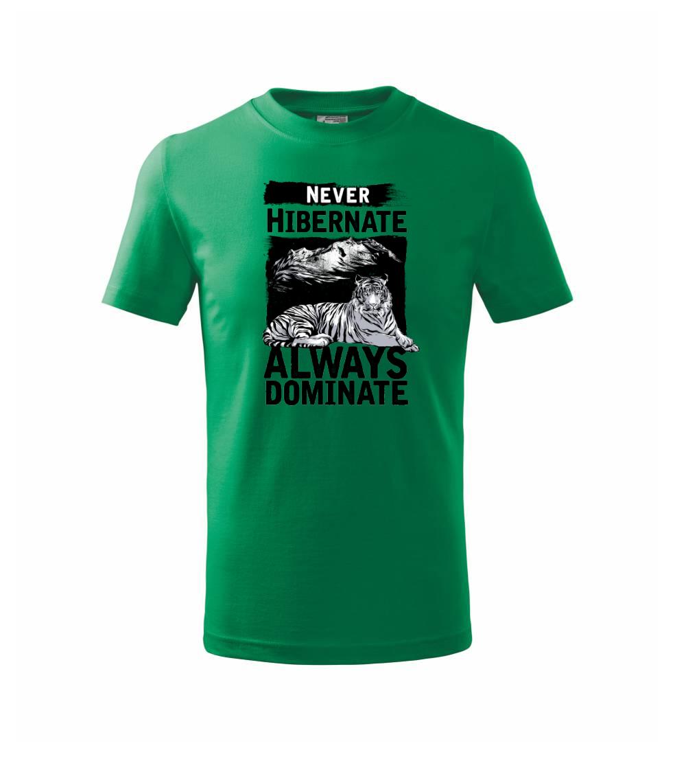 Never Hibernate