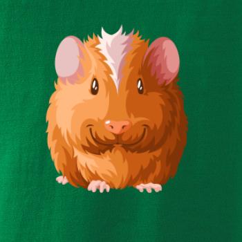 Morče - kreslené zepředu