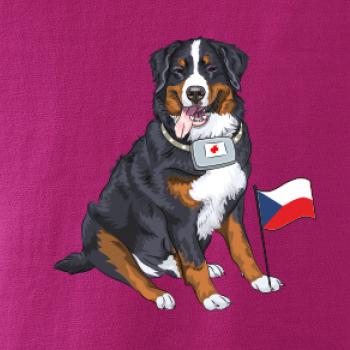 Pes záchranář bernský salašnický