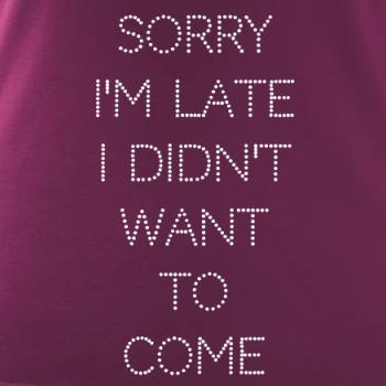 Sorry I am late i didn't want to come