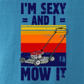 I'm sexy and i mow it