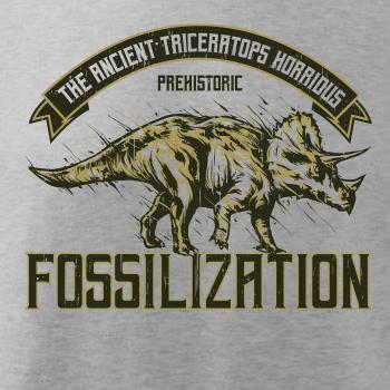 Triceratops fossil