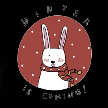 Winter is coming zajíc