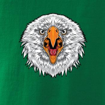 Hlava rozzlobeného orla