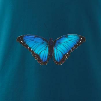 Motyl babočka Morpho Peleides