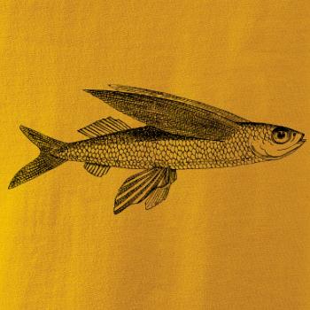 Flying fish