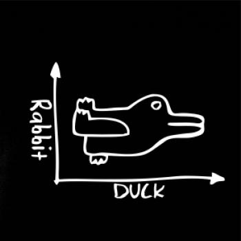Duck Rabbit Duck Rabbit