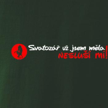 Svatozář už jsem měla, nesluší mi! Svatozář už jsem měla, nesluší mi!