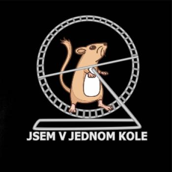 Jsem v jednom kole