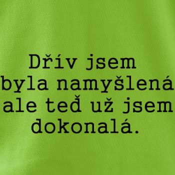 Jsem dokonalá