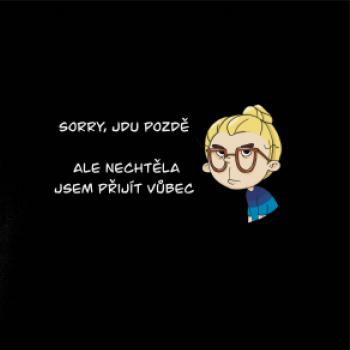 Sorry jdu pozdě (Radek Pilař ART)