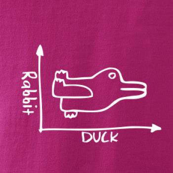 Duck Rabbit Duck Rabbit