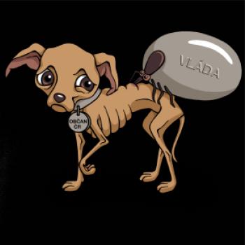 Vláda vs. Občan (Hana-creative)