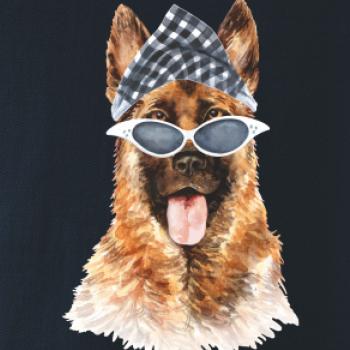 German shepherd se šátkem