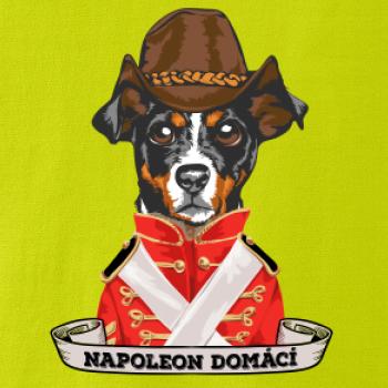 Napoleon domácí pes kříženec