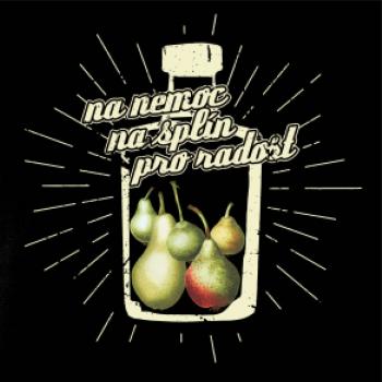 Na co pít hruškovici