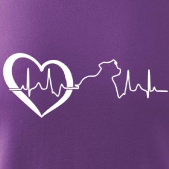 Stafordšírsky bulteriér EKG Stafordšírsky bulteriér EKG