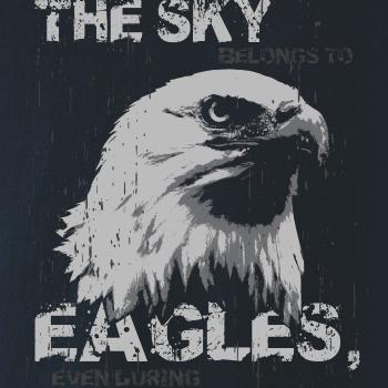 Eagle skystorm
