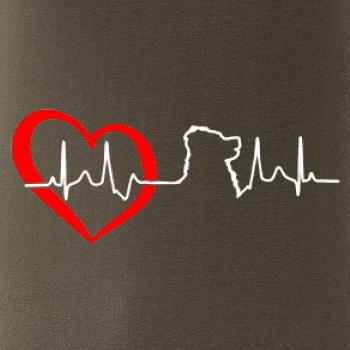 Bernský salašnický pes EKG