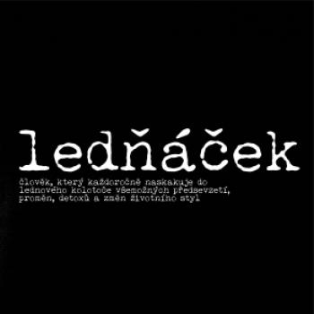 Čeština 2.0 - Ledňáček