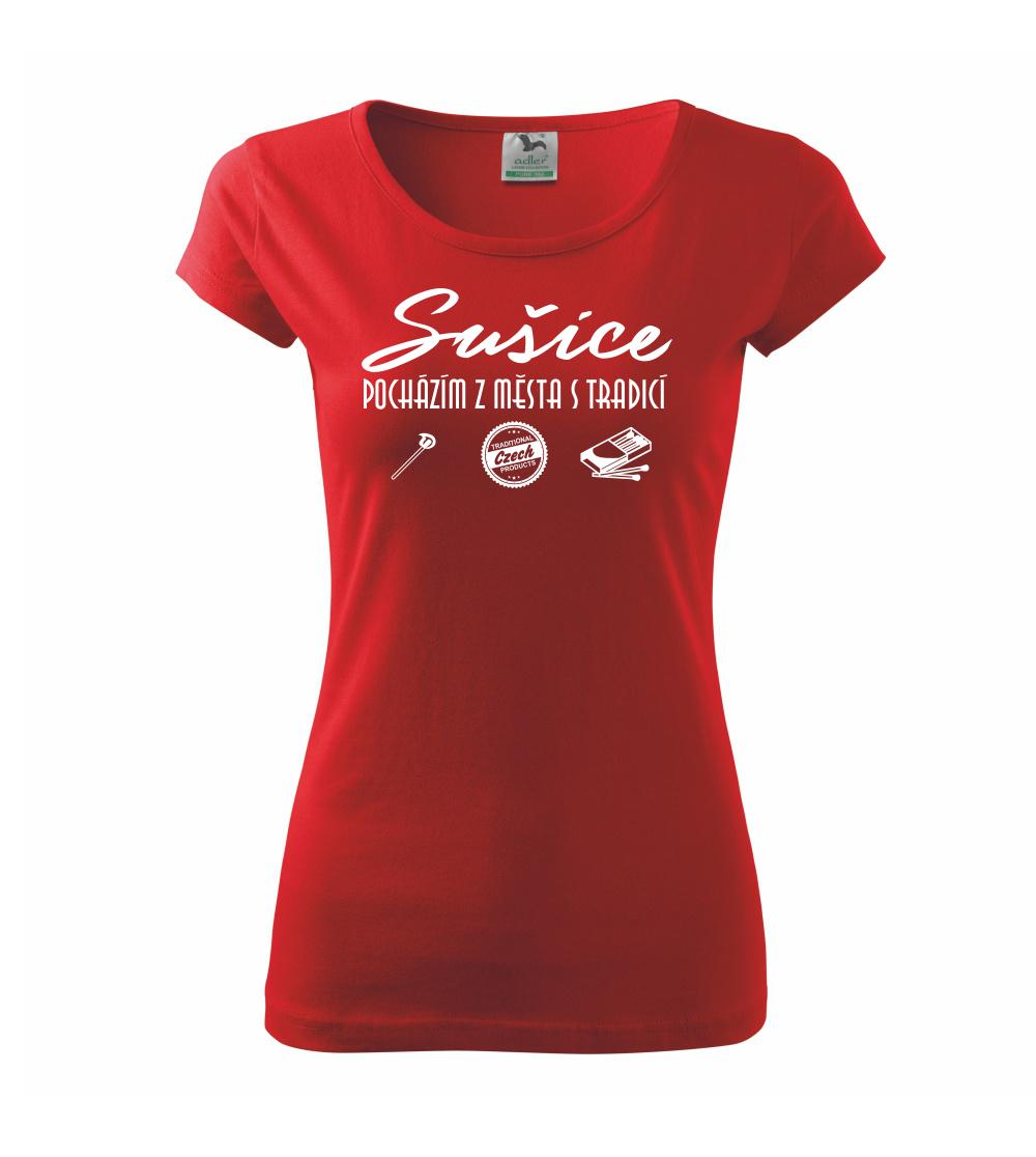 Sušice město s tradicí