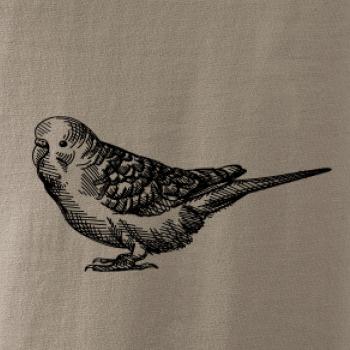 Tužkou kreslený Papoušek