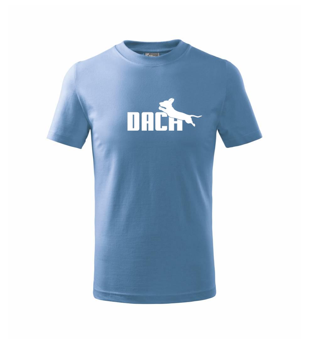 Jezevčík Dach