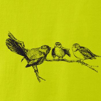 Ptáčci na větvi malovaní