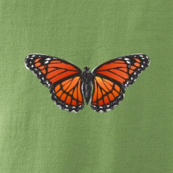 Motýl Monarcha stěhovavý