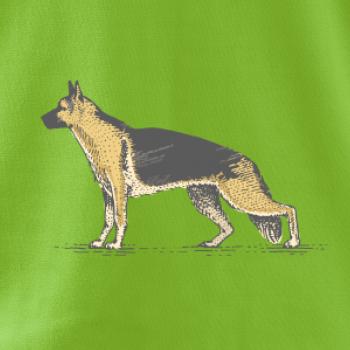 Vintage German shepherd