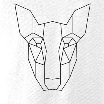 Americký Pit Bull Teriér - Geometrie