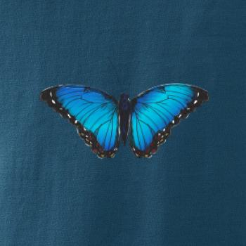 Motyl babočka Morpho Peleides