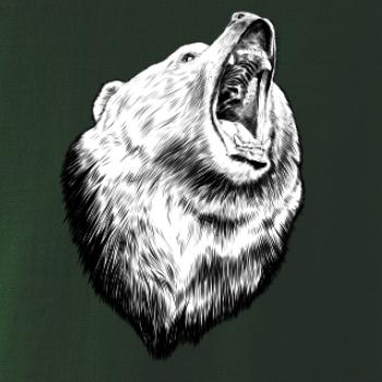 Medvěd trošku naštvaný