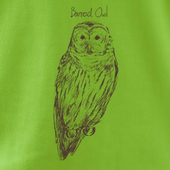 Puštík proužkovaný Barred owl