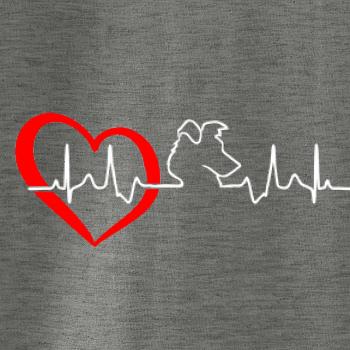 Border kolie EKG Border kolie EKG