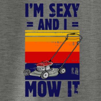 I'm sexy and i mow it