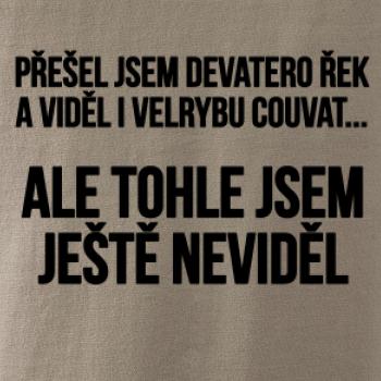 Viděl jsem velrybu couvat Viděl jsem velrybu couvat